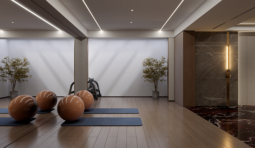 Passo a Passo para a Criação de Home Gym